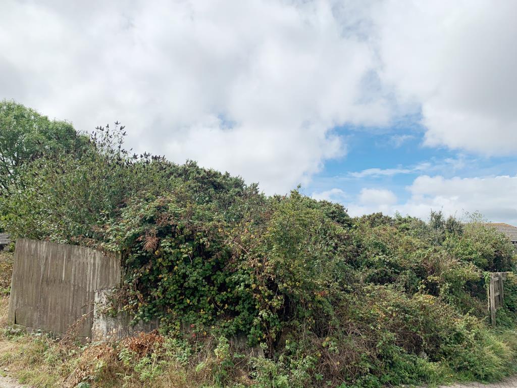 Lot: 111 - FREEHOLD LAND, PATHWAYS AND ROADWAY WITH POTENTIAL -